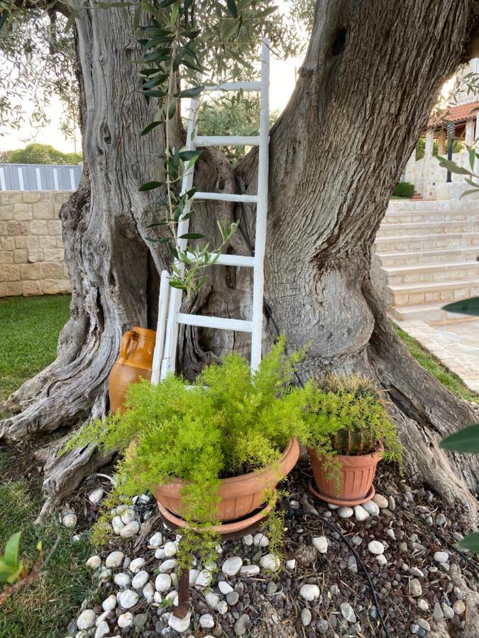 Trulli Del Relax Villa Castellana Grotte Kültér fotó